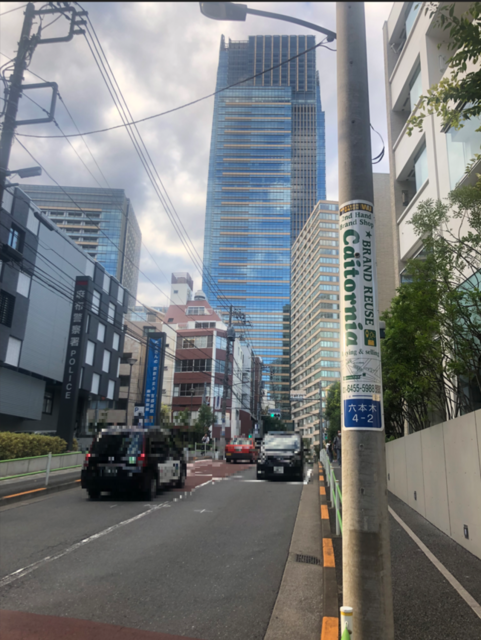 【電柱広告　港区】掲出事例（カイトルニア六本木様※新デザイン　誘導案内）